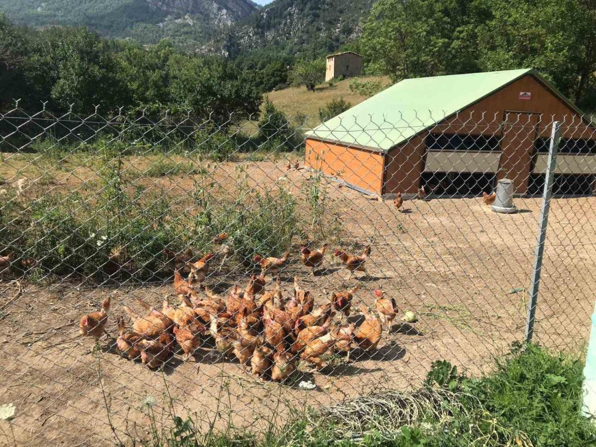 Hotel Camping La Ferme De Castellane Extérieur photo