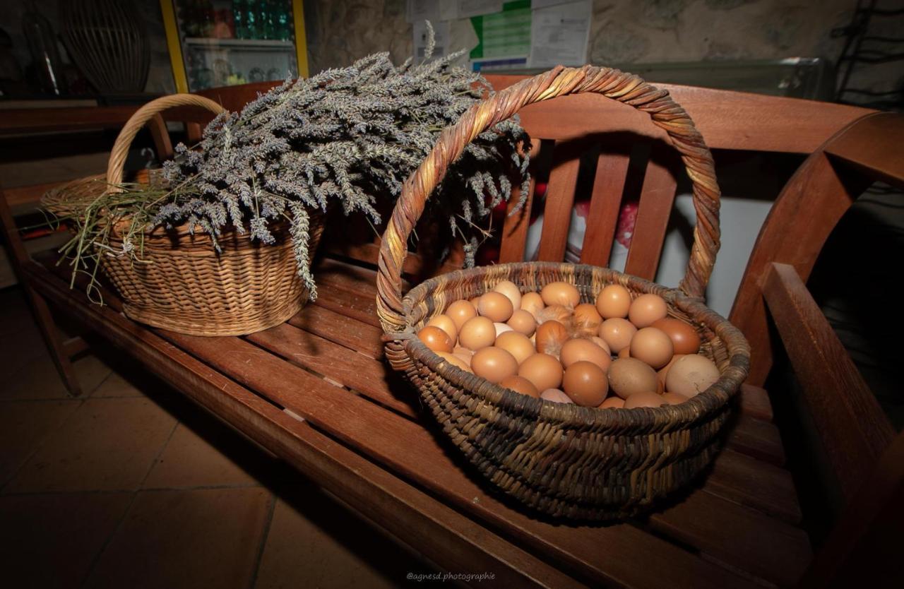 Hotel Camping La Ferme De Castellane Extérieur photo